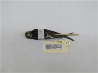 藏品(小雨燕)的圖片